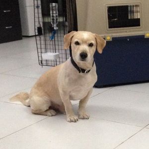 Meet your Posher, Mabel